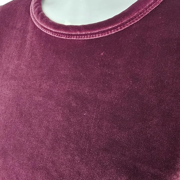 Aritzia Wilfred Free Velvet Long Sleeve Crop Top Size Small - Picture 7 of 7